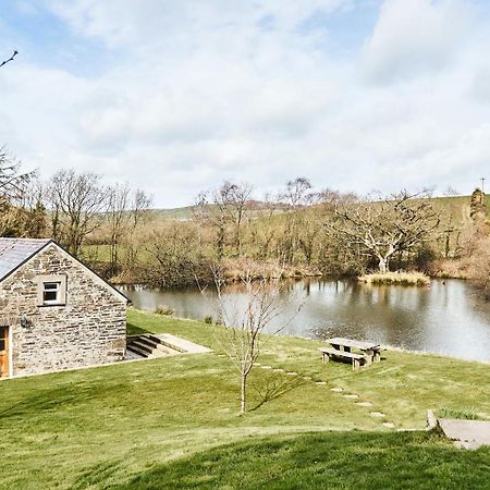 Penuwch Boathouse- Lakeside Rural Cottage Ideal For Families With Indoor Heated Pool Carmarthen Exteriör bild
