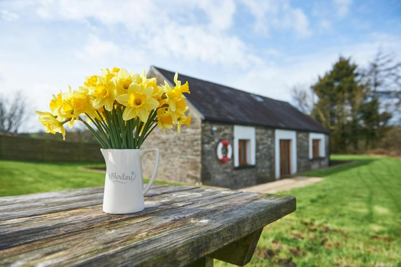 Penuwch Boathouse- Lakeside Rural Cottage Ideal For Families With Indoor Heated Pool Carmarthen Exteriör bild