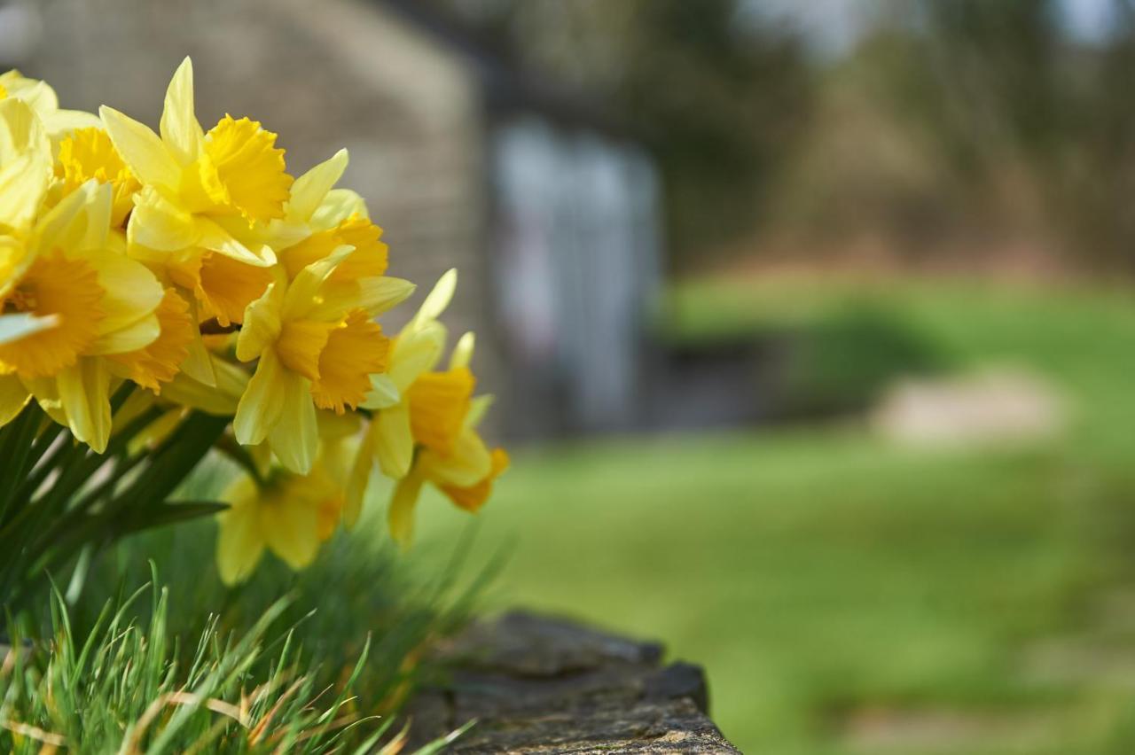 Penuwch Boathouse- Lakeside Rural Cottage Ideal For Families With Indoor Heated Pool Carmarthen Exteriör bild